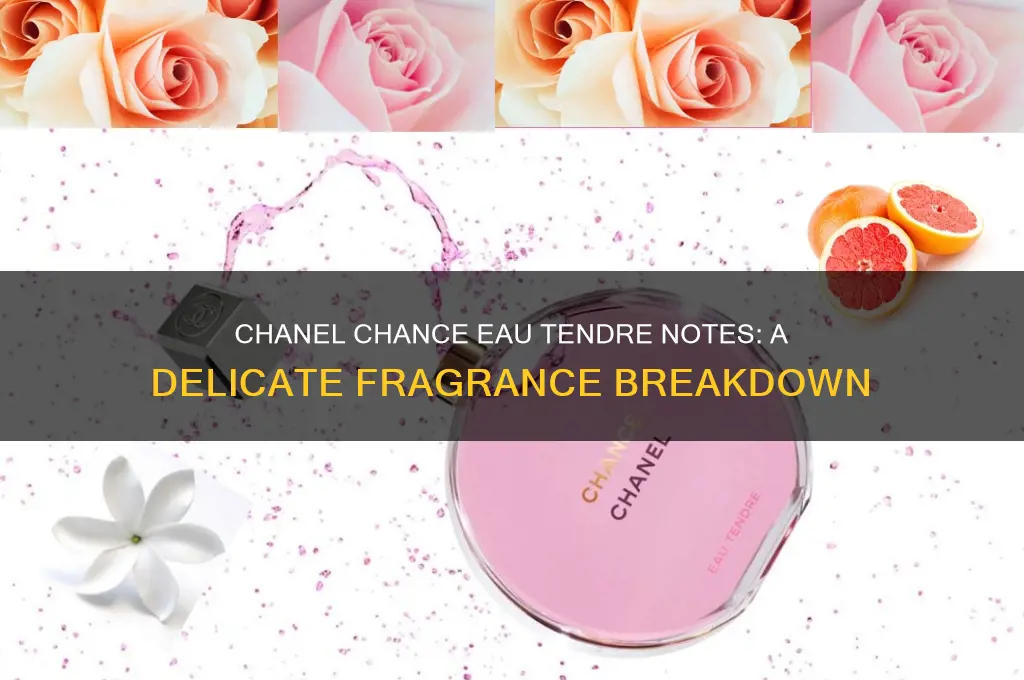 what are the notes in chanel chance eau tendre perfume