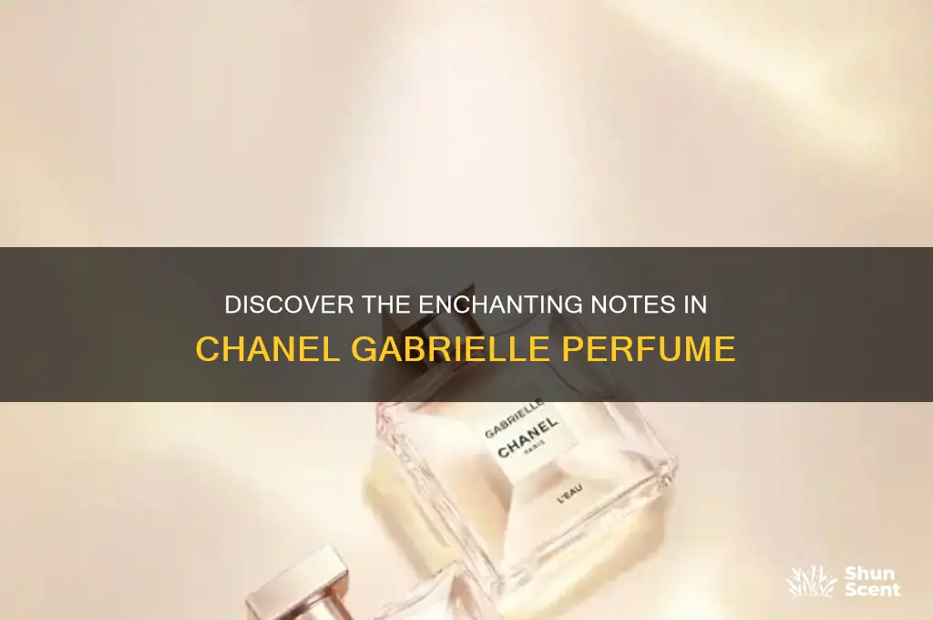 what are the notes in chanel gabrielle perfume