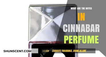 Unveiling Cinnabar Perfume: Exploring Its Signature Notes and Aromatic Layers