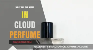 Unveiling Cloud Perfume: Exploring Its Unique Notes and Aromatic Composition