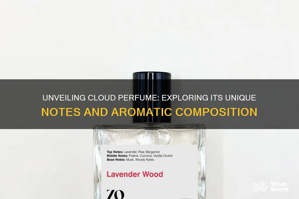 what are the notes in cloud perfume