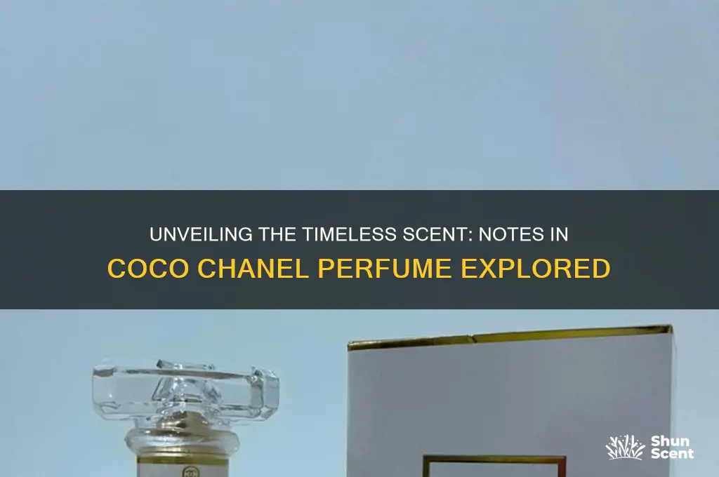 what are the notes in coco chanel perfume