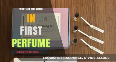 Unveiling the Aromatic Notes in the Original First Perfume