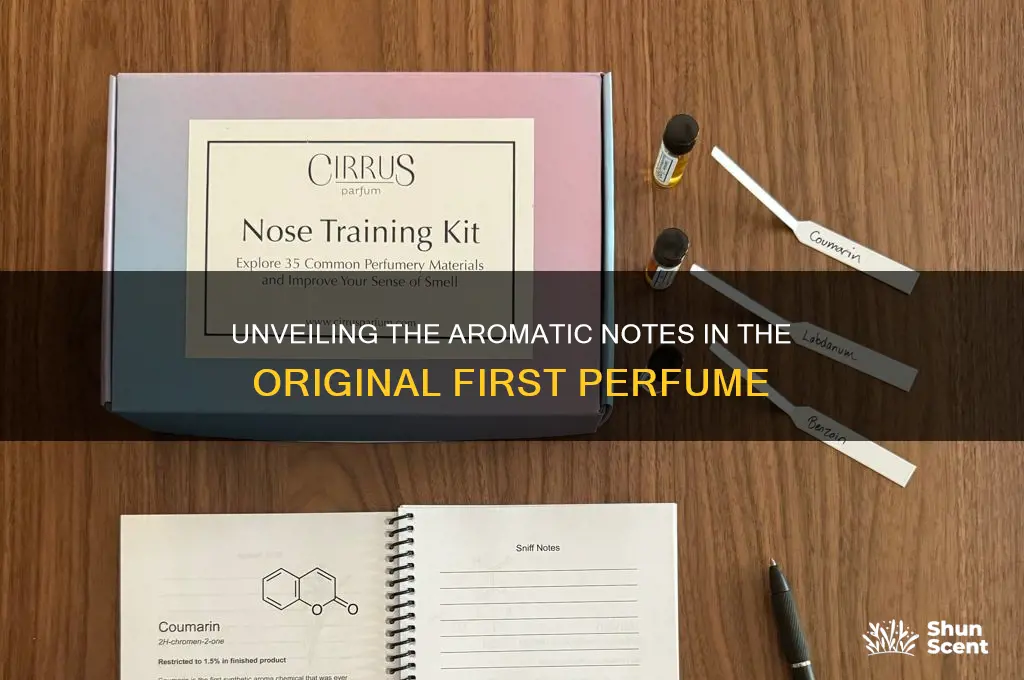 what are the notes in first perfume