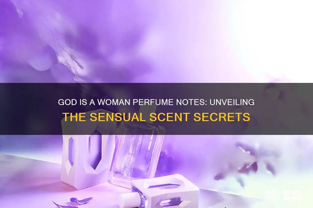 what are the notes in god is a woman perfume