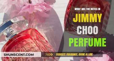 Discover the Enchanting Notes in Jimmy Choo Perfume