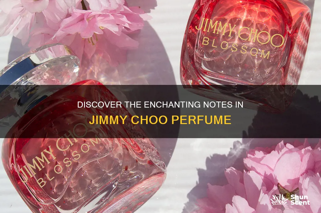 what are the notes in jimmy choo perfume