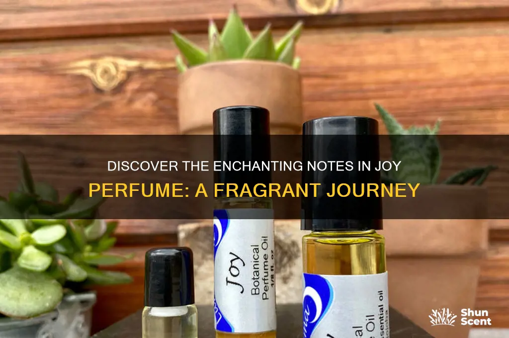 what are the notes in joy perfume