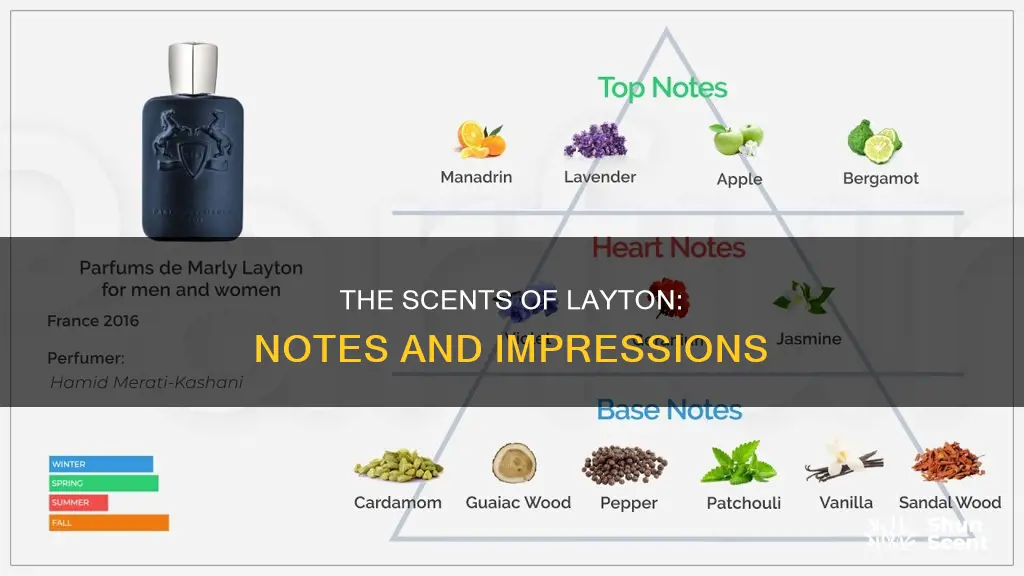 what are the notes in layton cologne