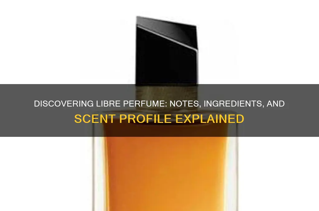 what are the notes in libre perfume
