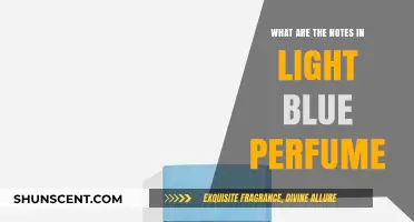 Unveiling Light Blue Perfume's Notes: A Fresh and Citrusy Journey