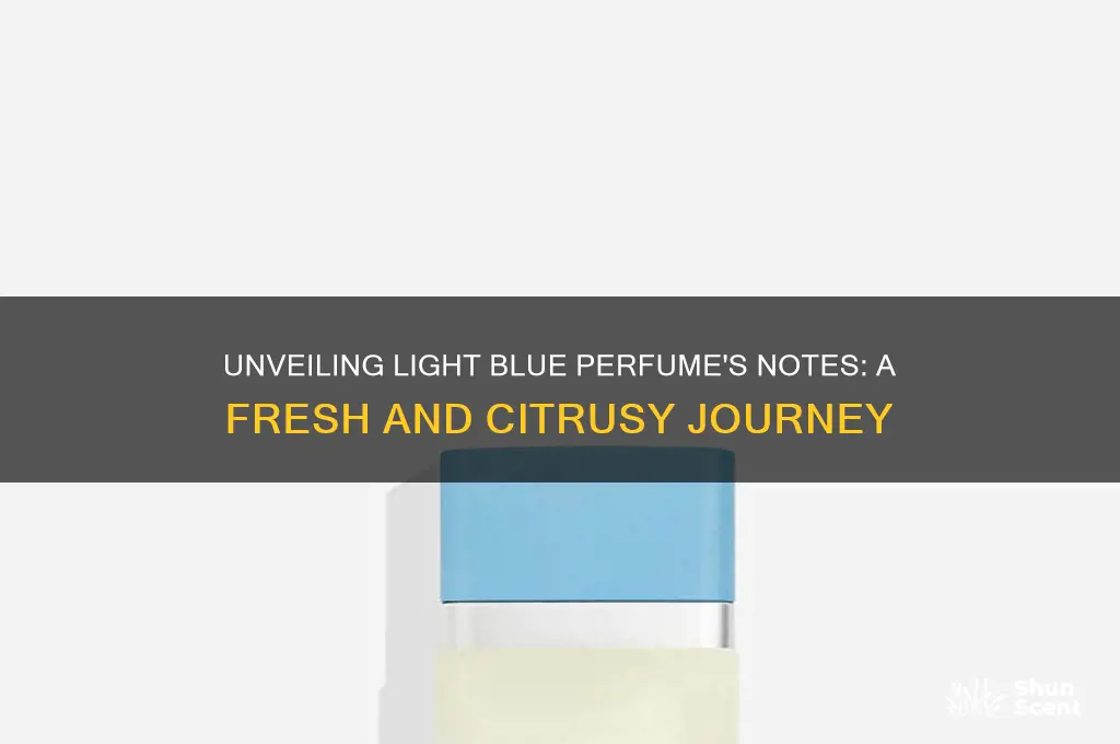 what are the notes in light blue perfume