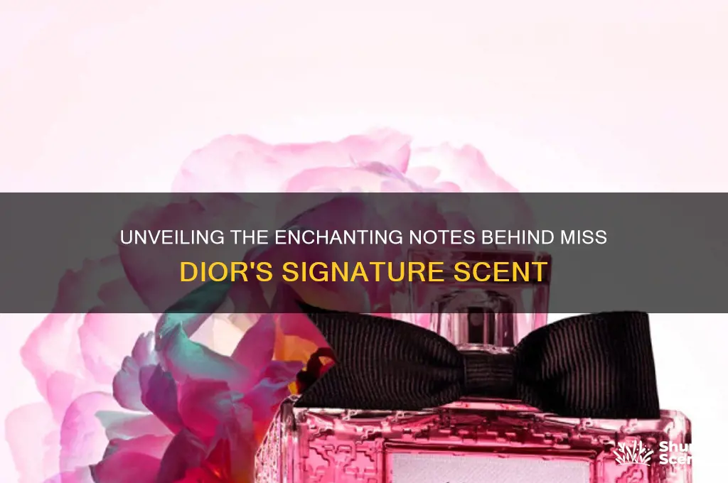 what are the notes in miss dior perfume