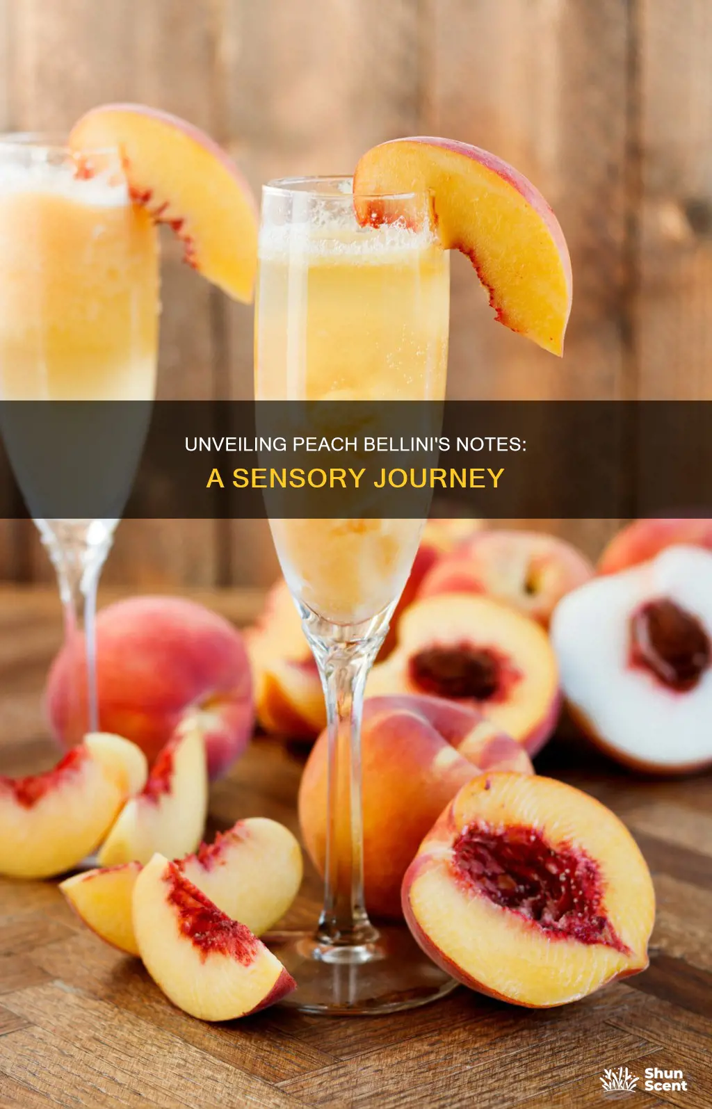 what are the notes in peach bellini fragrance