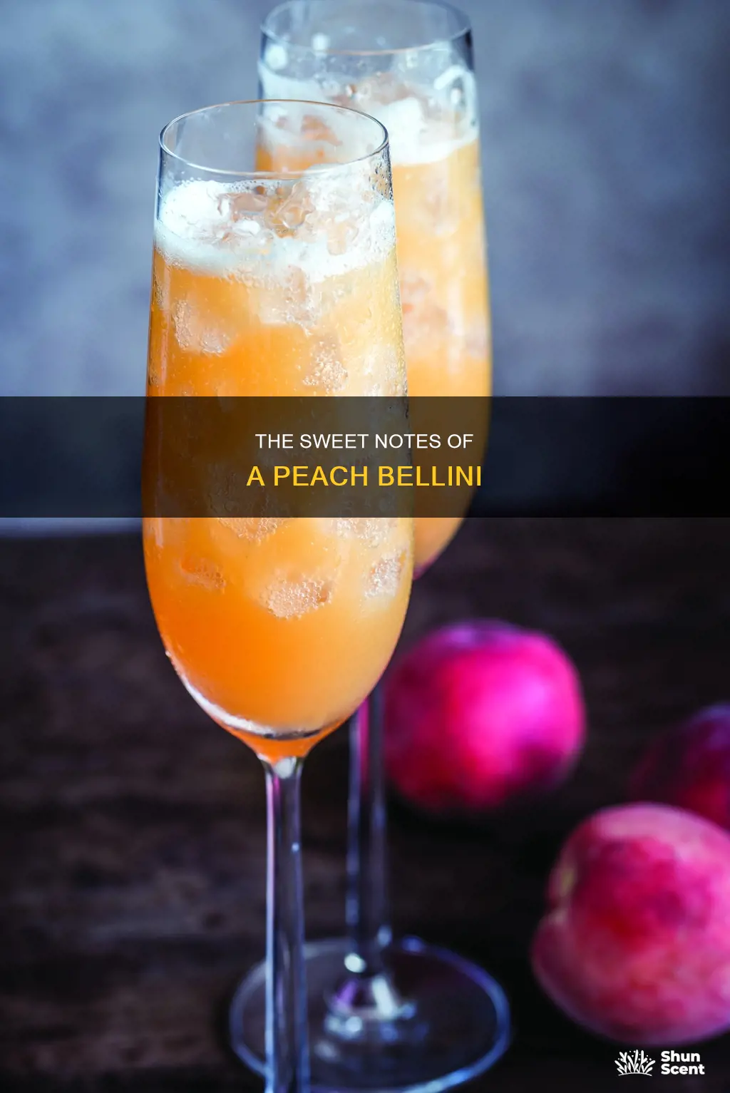 what are the notes in peach bellini fragrance