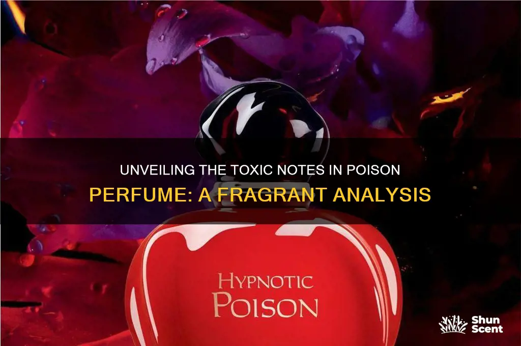 what are the notes in poison perfume