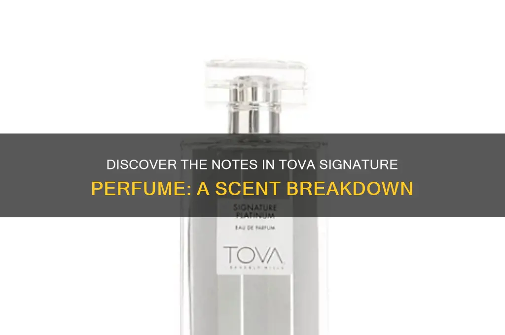 what are the notes in tova signature perfume