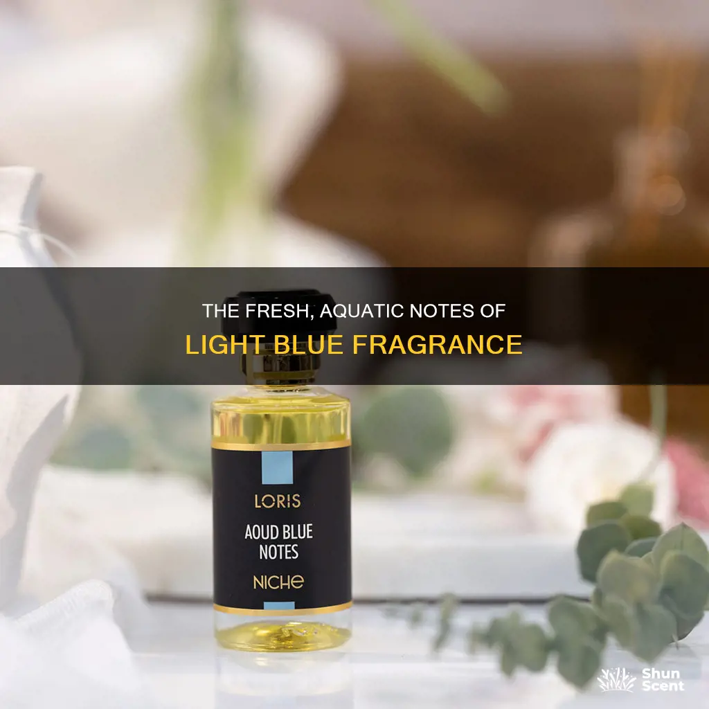 what are the notes of light blue fragrance