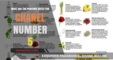 Unveiling Chanel No. 5's Iconic Fragrance Notes and Composition