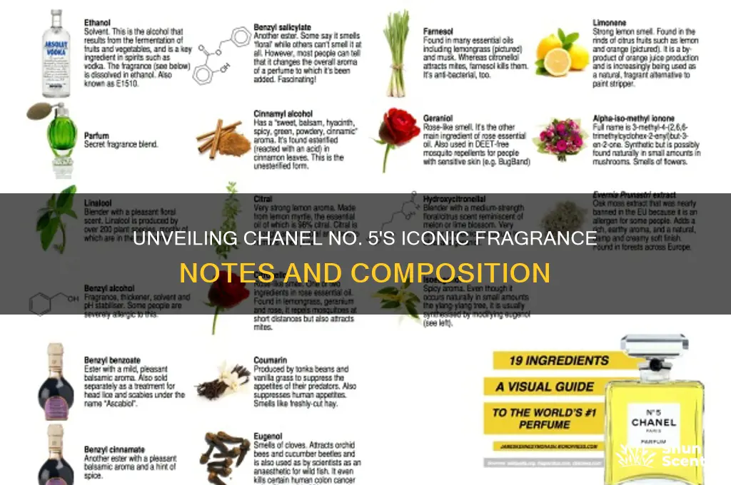 what are the perfume notes for chanel number 5