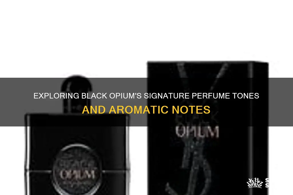 what are the perfume tones of black opium