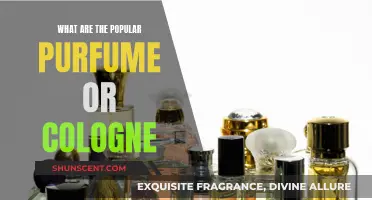 Popular Scents: Top Perfumes and Colognes to Know