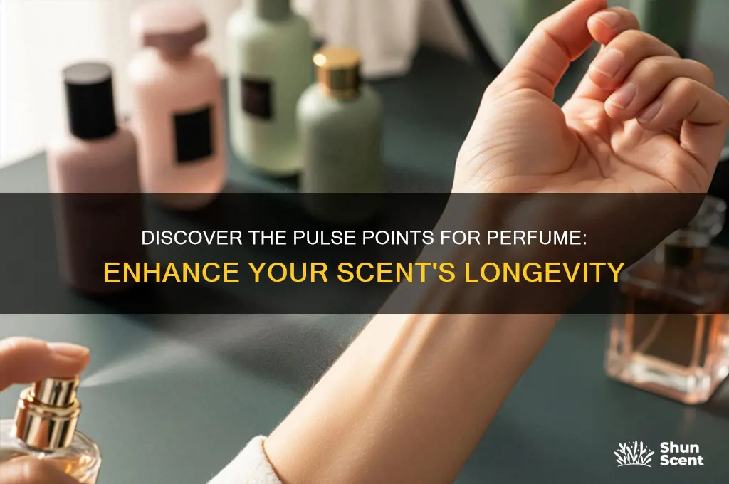 what are the pulse poinst for perfume