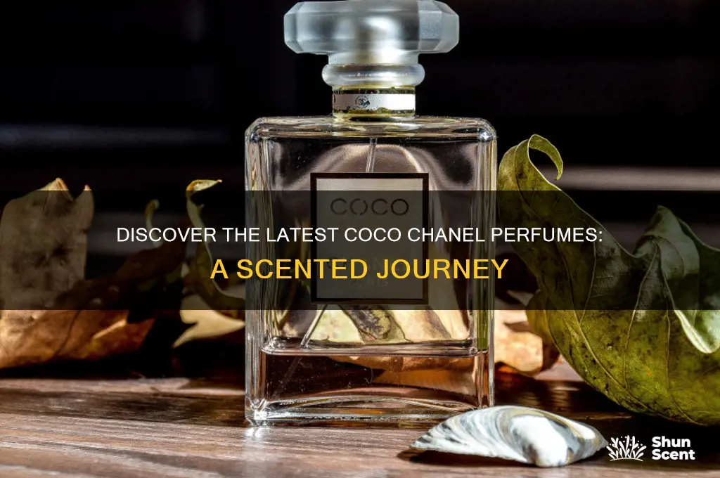 what are the recent coco chanel perfumes