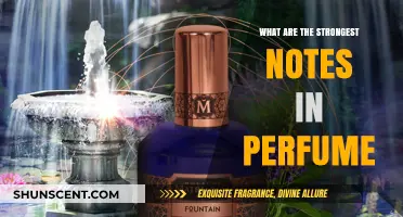 Unveiling the Most Powerful and Long-Lasting Notes in Perfumes
