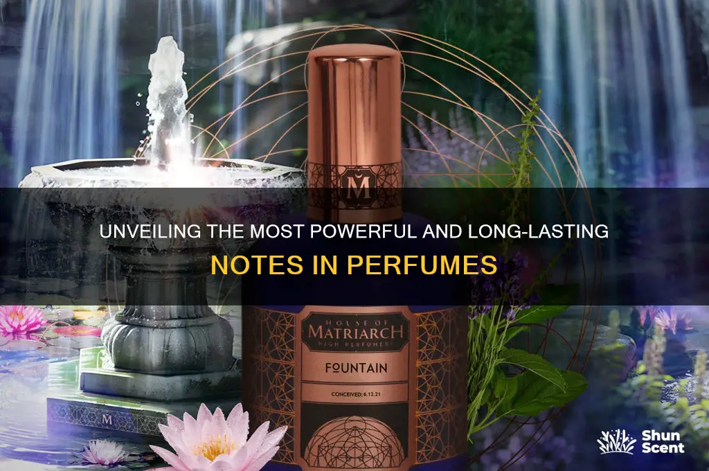 what are the strongest notes in perfume