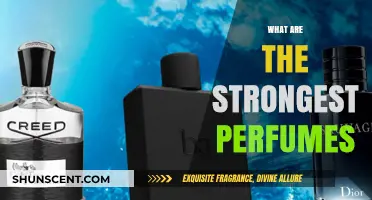 Discover the Most Intense and Long-Lasting Strong Perfumes