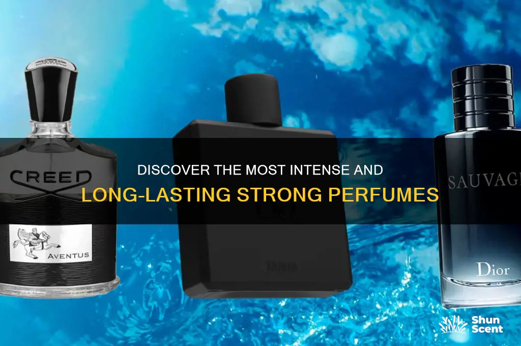 what are the strongest perfumes