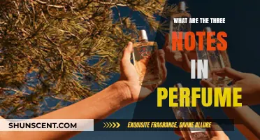 Unveiling the Trio: Understanding the Three Notes in Perfume Composition