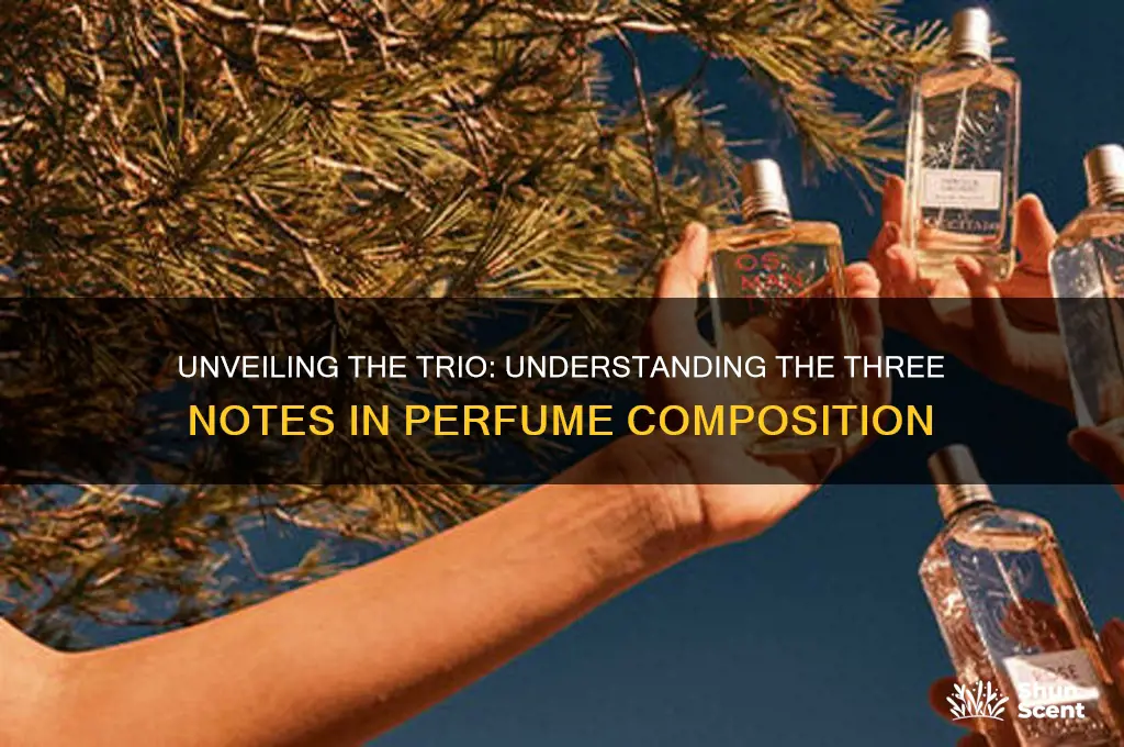 what are the three notes in perfume