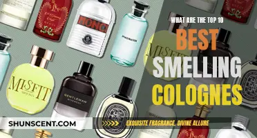 The Best Smelling Colognes: Top 10 Scents for Men