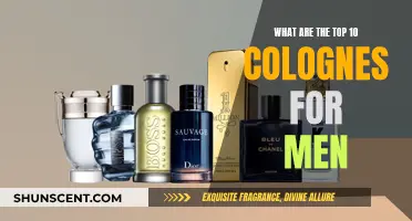 The Best Colognes for Men: Top 10 Picks