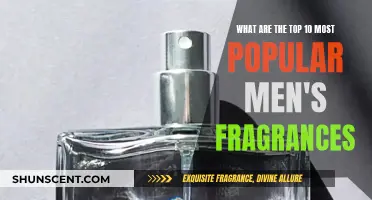 The Best-Selling Men's Colognes: Top 10 Fragrances