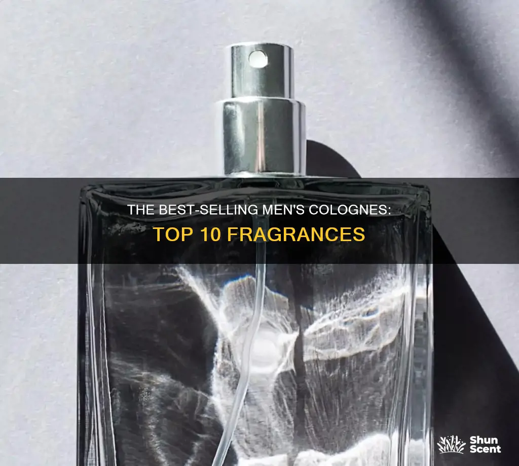 what are the top 10 most popular men