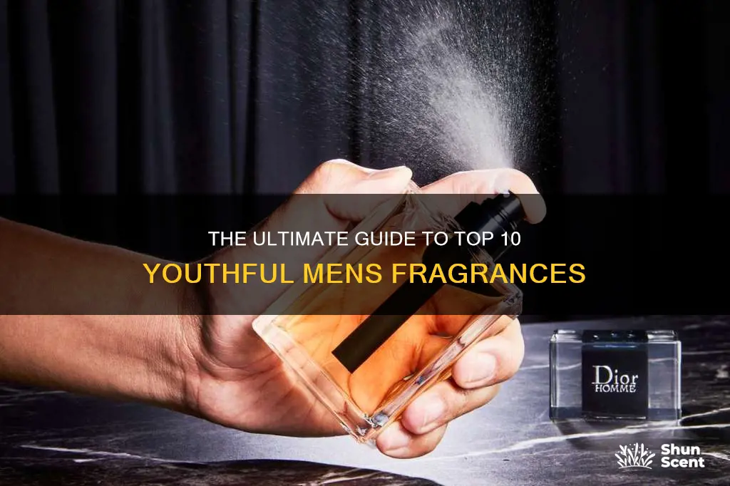 what are the top 10 young mens fragrances