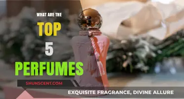 Discover the Most Luxurious and Popular Perfumes of the Year
