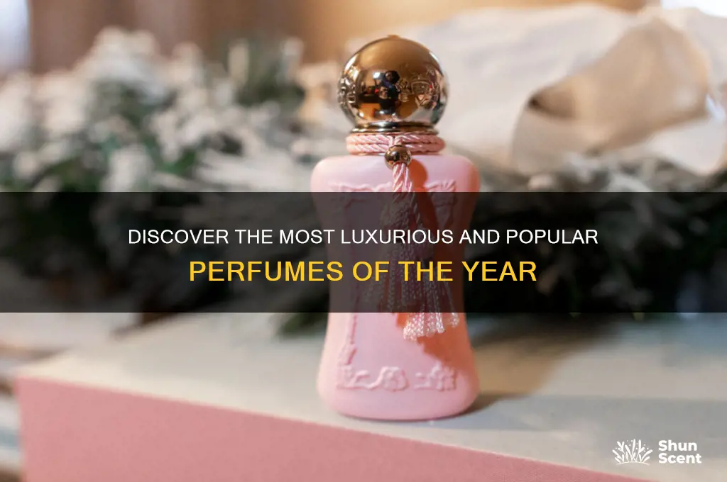what are the top 5 perfumes