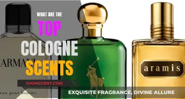 The Best Cologne Scents: Our Top Picks for Men