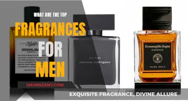 The Best Fragrances for Men: A Definitive Guide