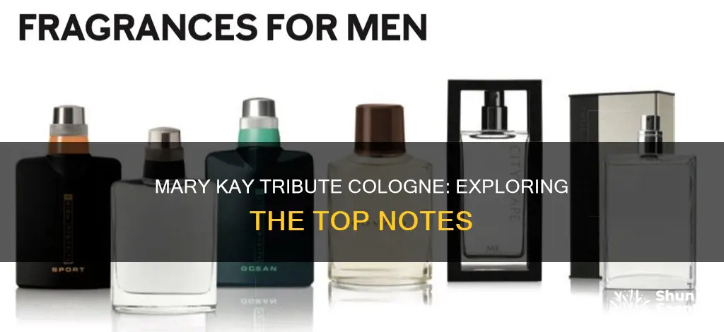 what are the top notes in mary kay tribute cologne