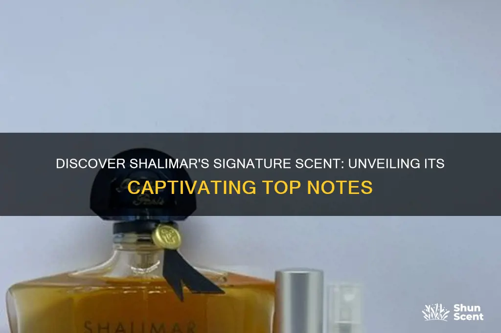 what are the top notes in shalimar perfume
