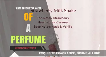 Unveiling the First Impression: Exploring the Top Notes of a Perfume