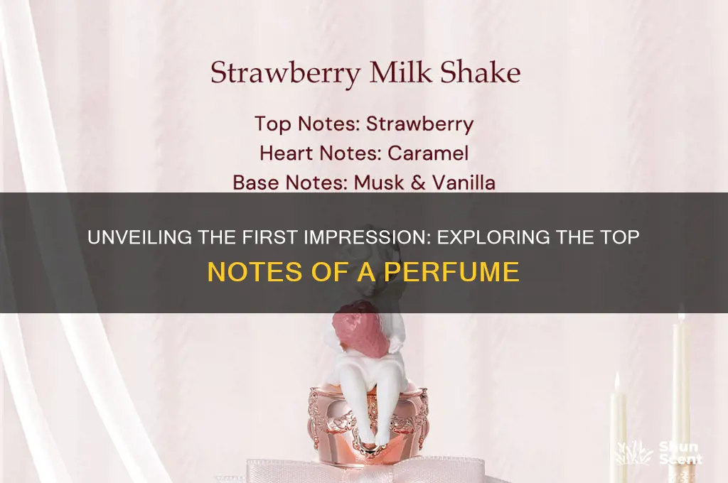 what are the top notes of a perfume