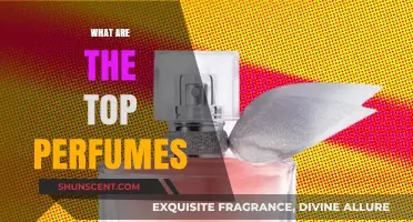 Scentsational Perfumes: Our Top Picks for You