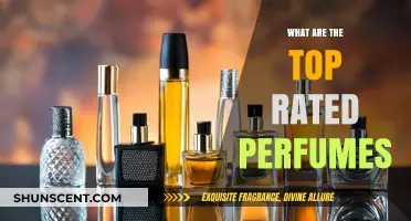 Discover the Most Loved and Top-Rated Perfumes of the Year