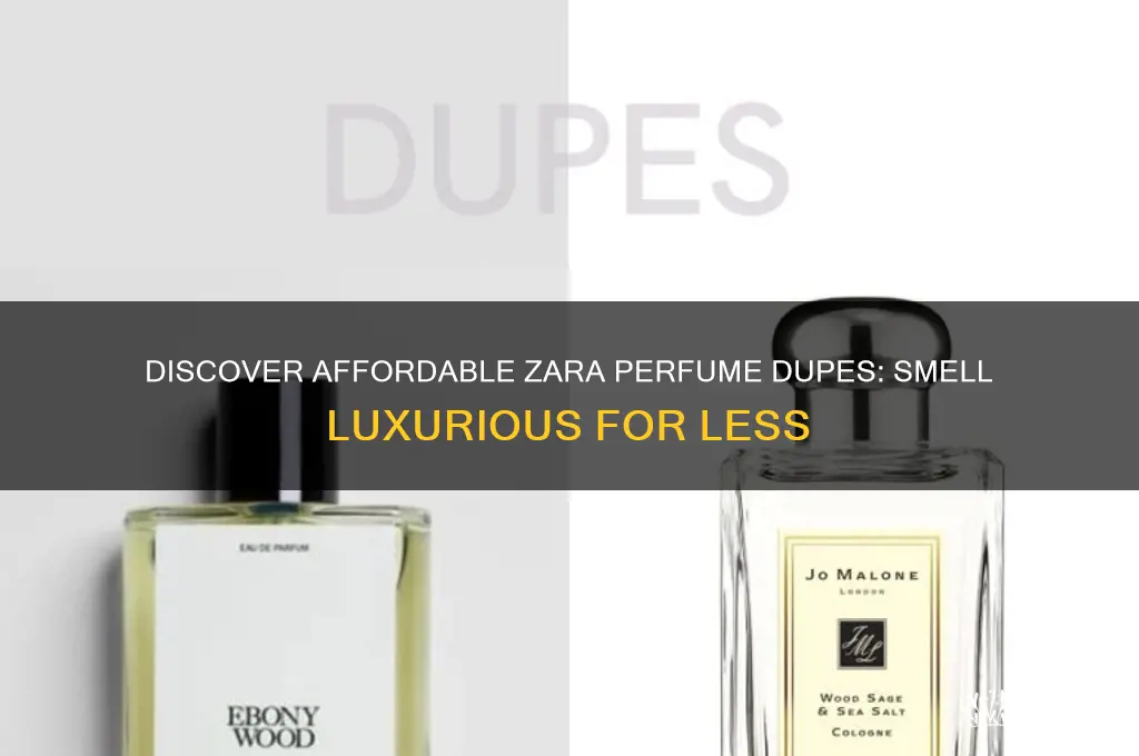 what are the zara perfume dupes